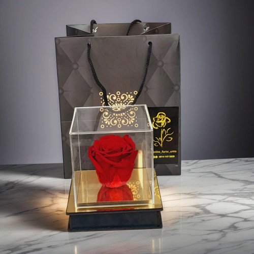 رز جاودان برند آمور