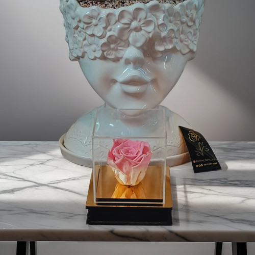 رز جاودان گلفروشی ارومیه