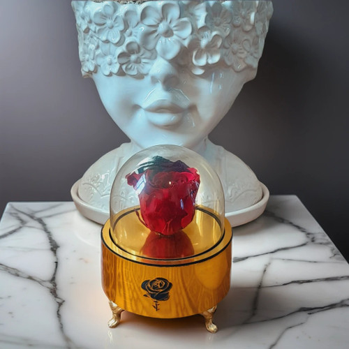 رز جاودان آمور