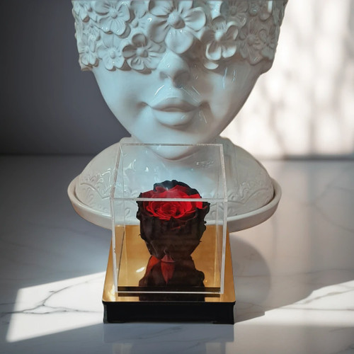 رز جاودان ارومیه