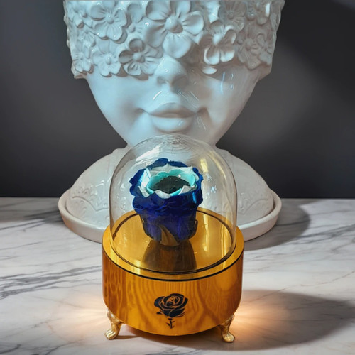 رز جاودان برند آمور