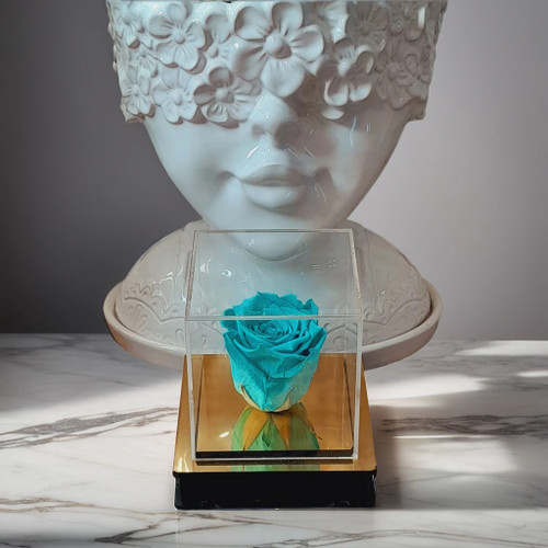 رز جاودان آبی_هدیه ای خاص برای لحظات ماندگار