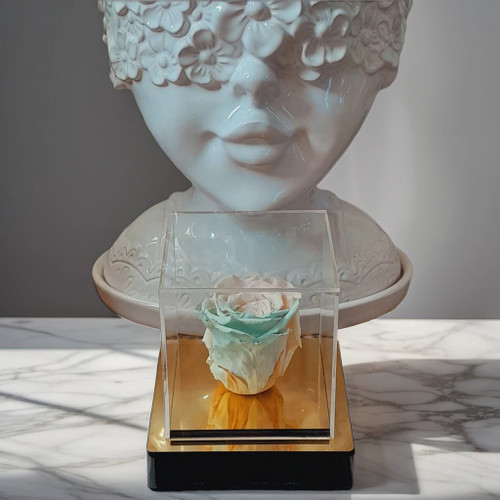 رز جاودان در باکس کریستالی لوکس – مدل «طلوع آرامش»