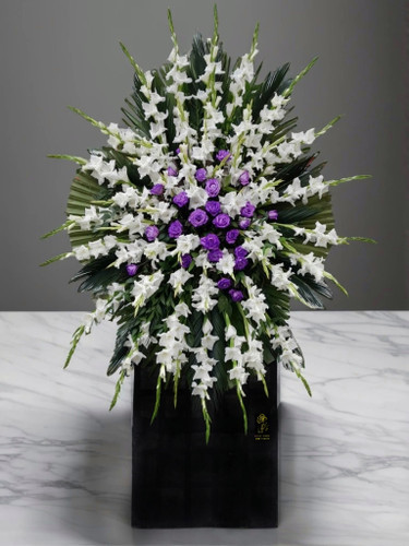 taghe-gol-tarahim-urmia